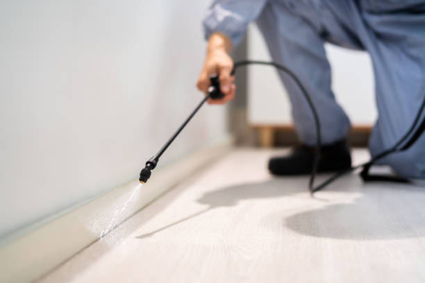Licensed Rodent Control service in Cherry Hill, VA - Nex Pest Control