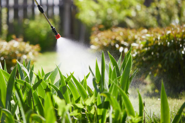 24/7 Emergency Rodent Control experts in Cherry Hill, VA