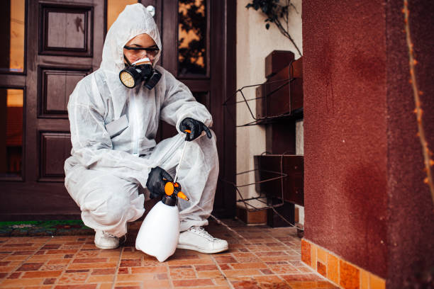 Reliable Rodent Control contractor in Cherry Hill, VA by Nex Pest Control