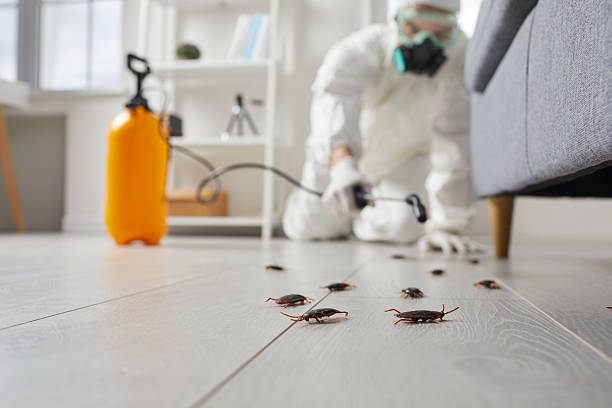 Trusted Fumigation Services service in Cherry Hill, VA - Nex Pest Control
