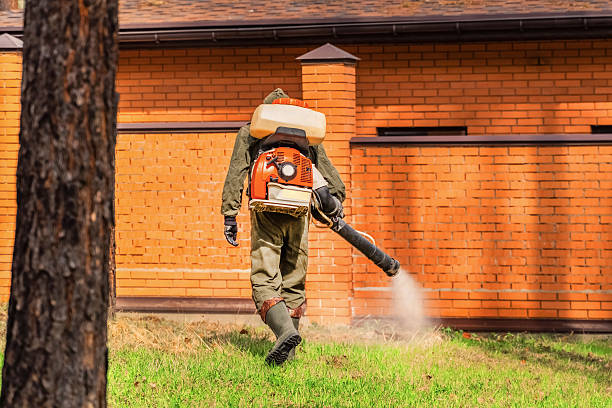 Trusted Cockroach Control service in Cherry Hill, VA - Nex Pest Control